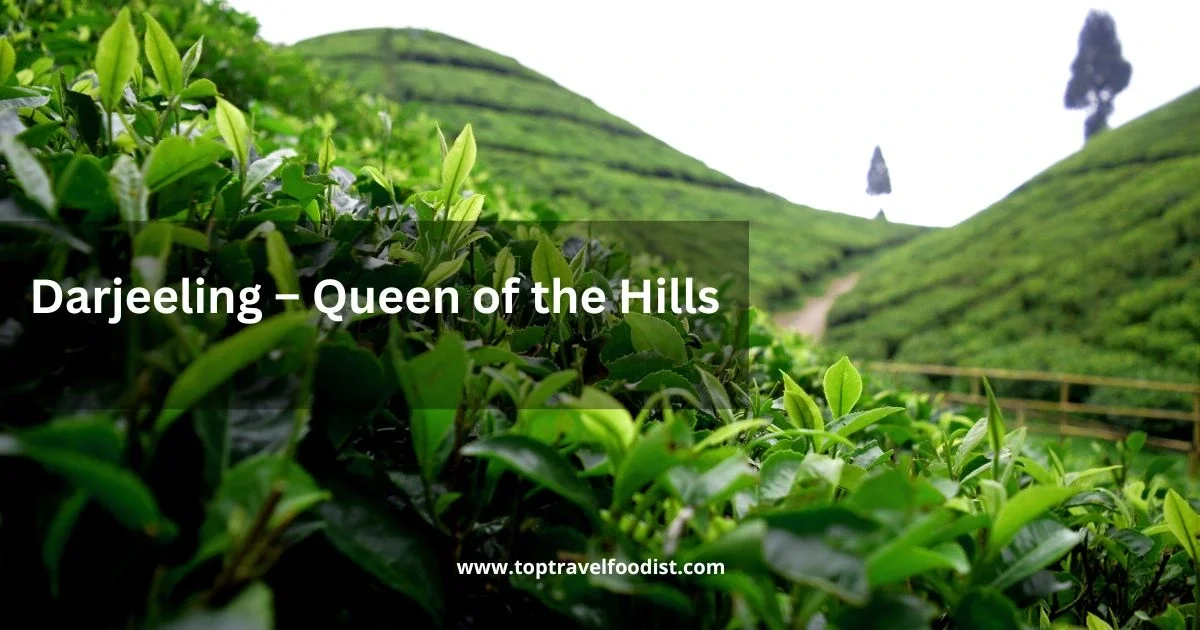 Darjeeling – Queen of the Hills- 15 Places to Visit in India in Winter You Must Go