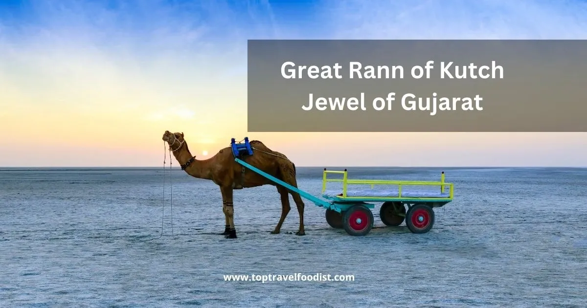 Great Rann of Kutch – Jewel of Gujarat - 15 Places to Visit in India in Winter You Must Go