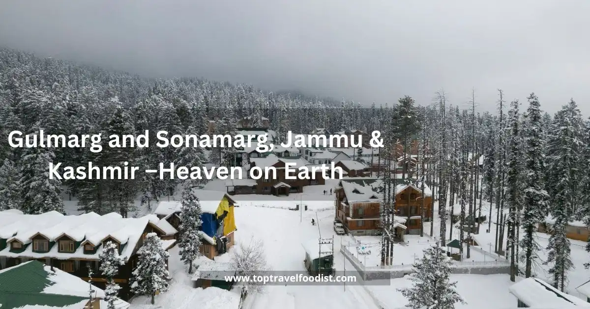 4. Gulmarg and Sonamarg, Jammu & Kashmir –Heaven on Earth- 15 Places to Visit in India in Winter You Must Go