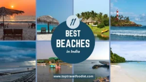 The Top 11 Best Beaches in India That You Must Explore- Top Travel Foodist