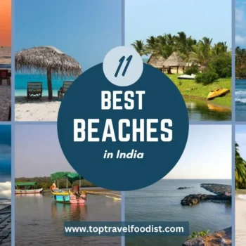 The Top 11 Best Beaches in India That You Must Explore- Top Travel Foodist